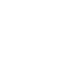 Capital Deployment